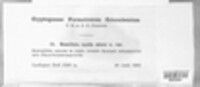 Image Associated With the Occurence